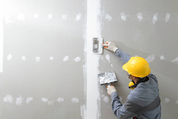 Best Residential Mold Inspection & Testing  in Weirton, WV