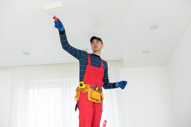 Best Forensic Mold Investigation  in Weirton, WV