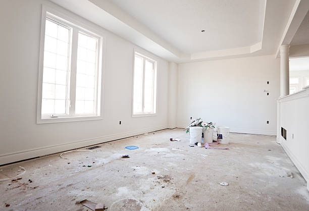 Best Basement Mold Removal  in Weirton, WV