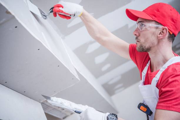 Best Crawl Space Mold Remediation  in Weirton, WV